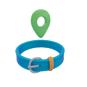 אנג'יליקה פומנקו, Collar -עיצוב אייקון מונפש תלת מימדי לאפליקציה